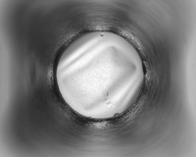 X0000093530306200711021315