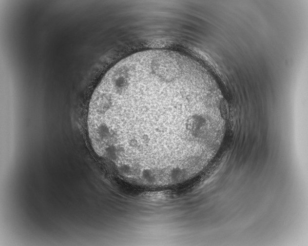 X0000093530307200711021315