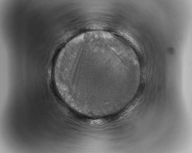 X0000093530309200711021315