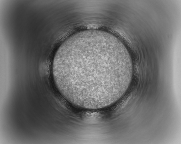 X0000093530311200711021315