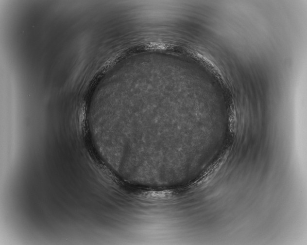 X0000093530314200711021315