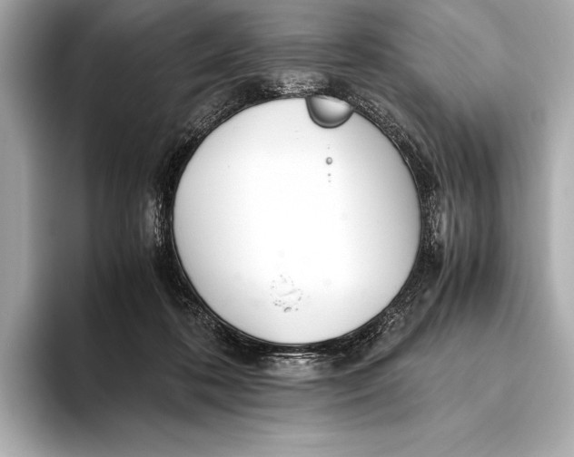 X0000093530316200711021315