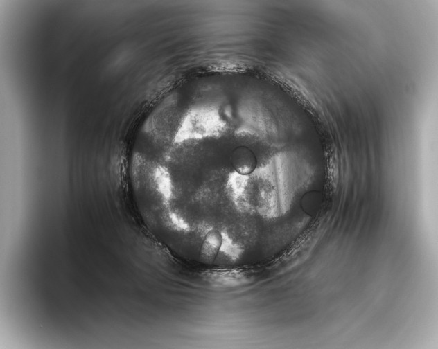 X0000093530322200711021315