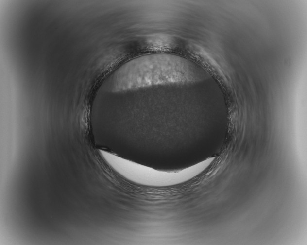 X0000093530325200711021315