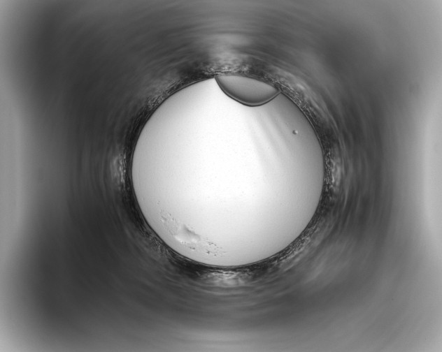 X0000093530326200711021315