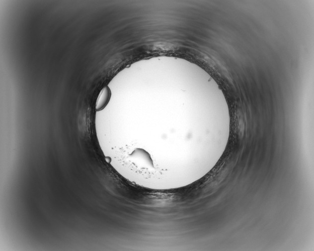 X0000093530328200711021315