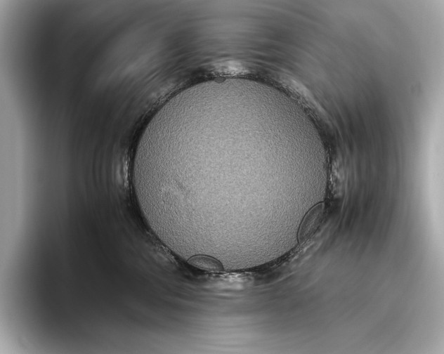 X0000093530330200711021315