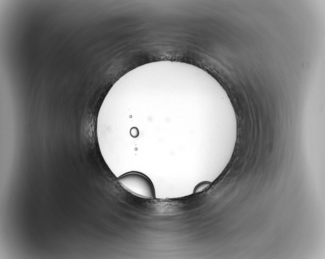 X0000093530336200711021315