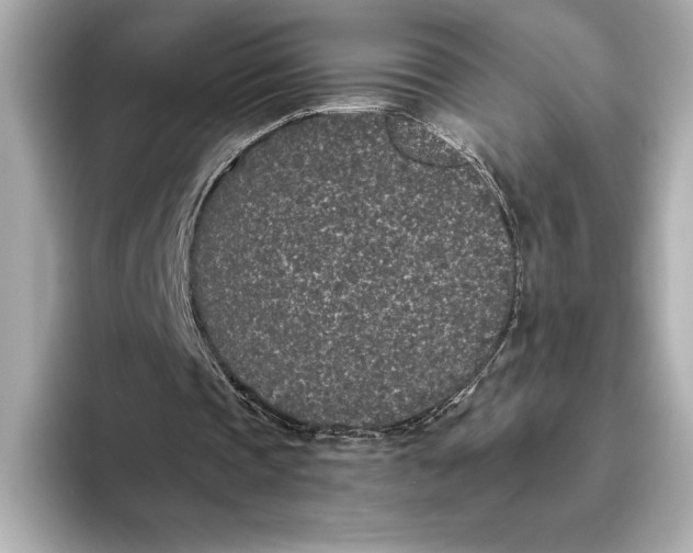 X0000093530337200711021314