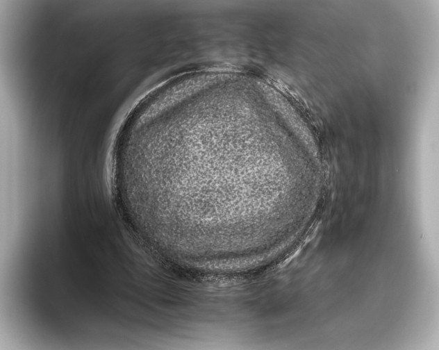 X0000093530343200711021314