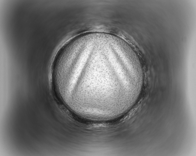 X0000093530344200711021314