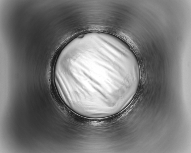 X0000093530346200711021314