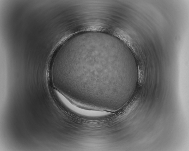 X0000093530348200711021314