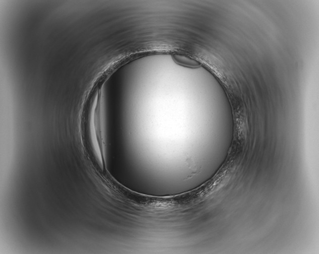 X0000093530350200711021314