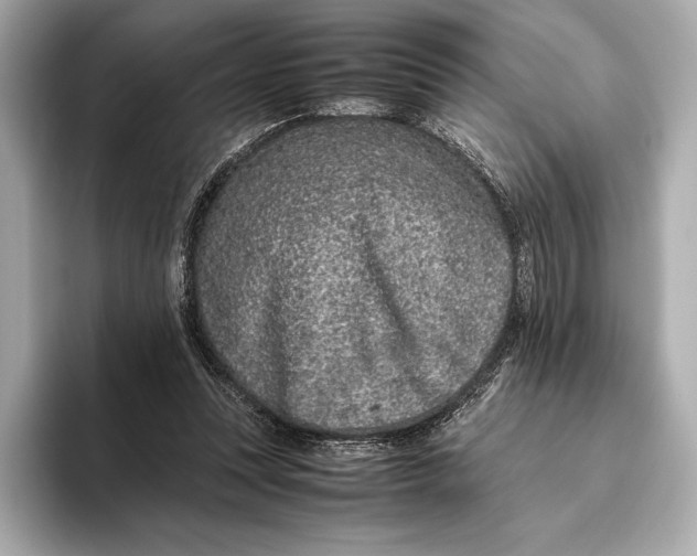 X0000093530351200711021314