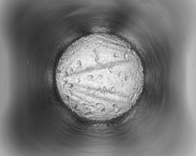 X0000093530353200711021314