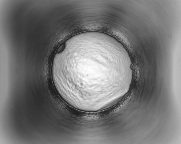 X0000093530354200711021314