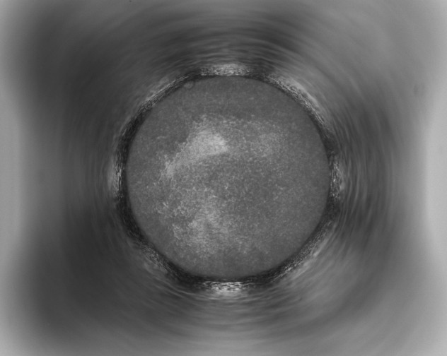 X0000093530355200711021314