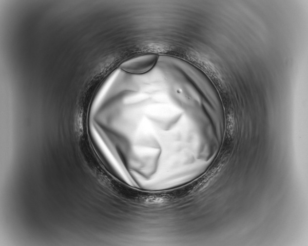 X0000093530358200711021315