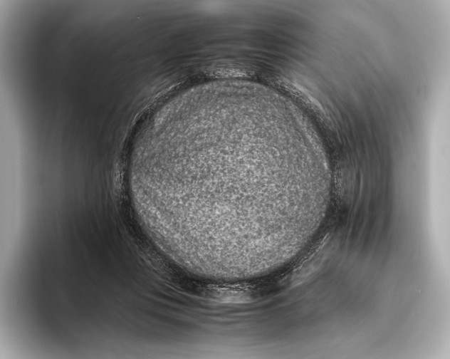 X0000093530359200711021315