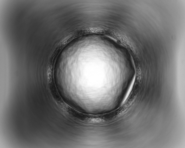 X0000093530360200711021315