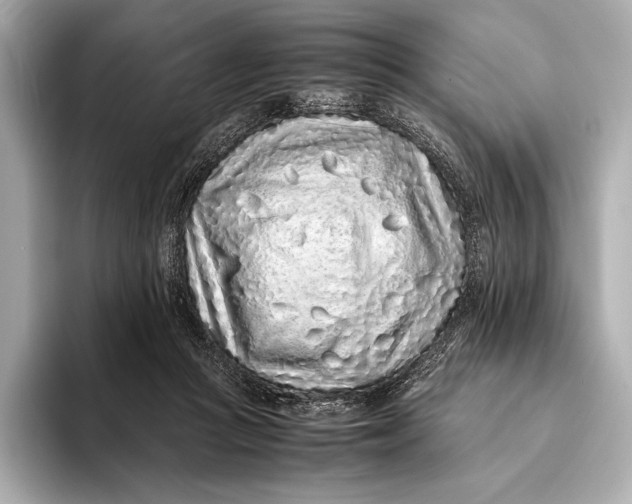 X0000093530361200711021315