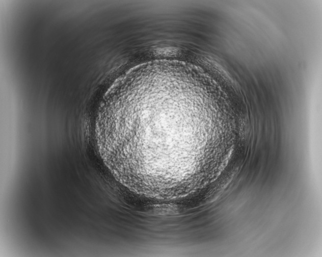 X0000093530363200711021315