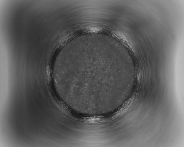 X0000093530366200711021315