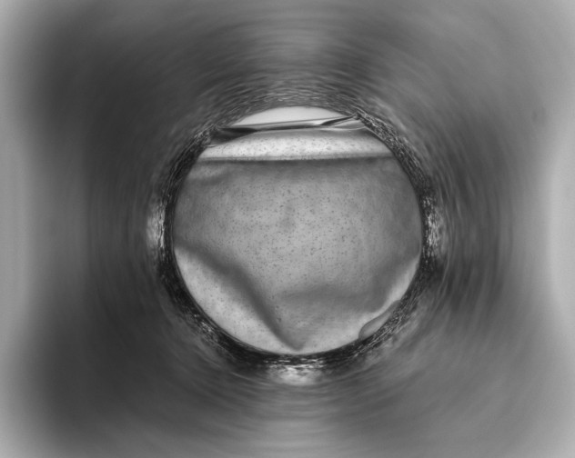 X0000093530368200711021315