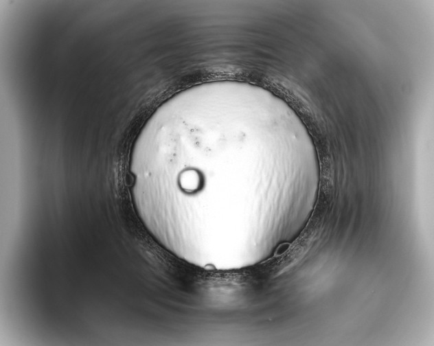 X0000093530369200711021315