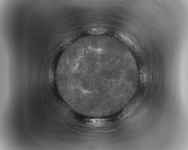 X0000093530371200711021315