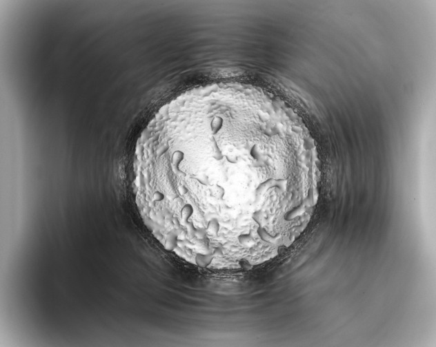 X0000093530373200711021315