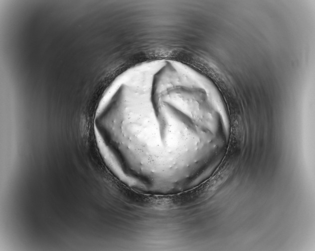 X0000093530374200711021315