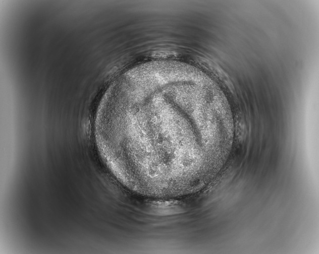 X0000093530375200711021315