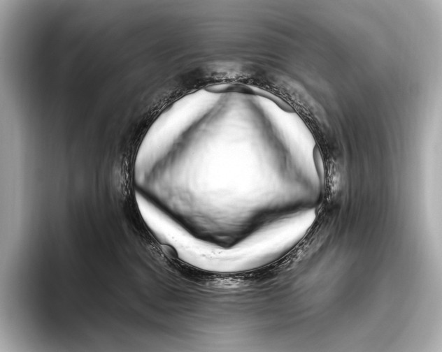 X0000093530376200711021315