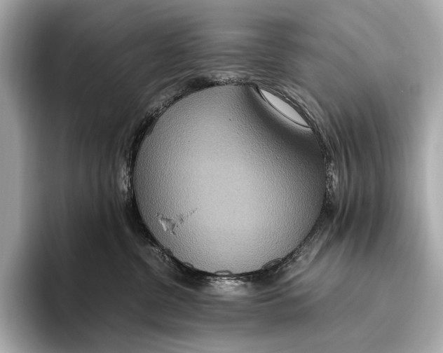 X0000093530380200711021315