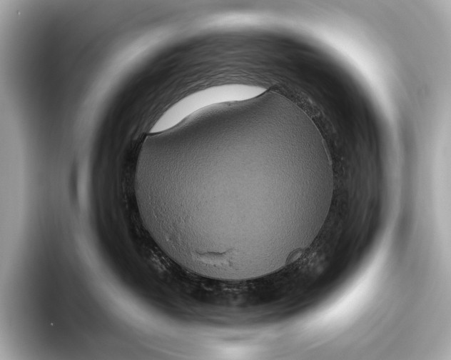 X0000093530382200711021315