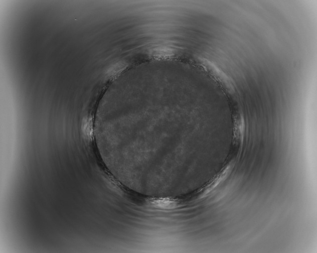 X0000093530383200711021315