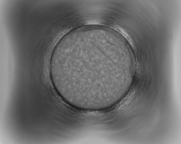 X0000093530385200711021314