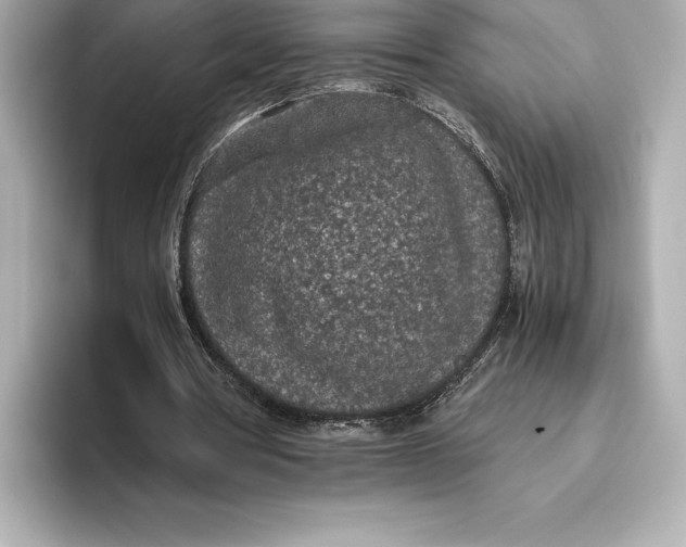 X0000093530386200711021314