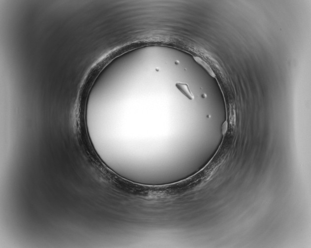 X0000093530388200711021314