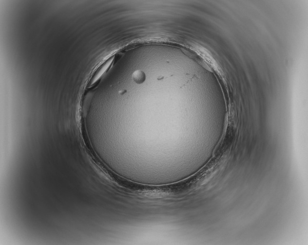 X0000093530389200711021314