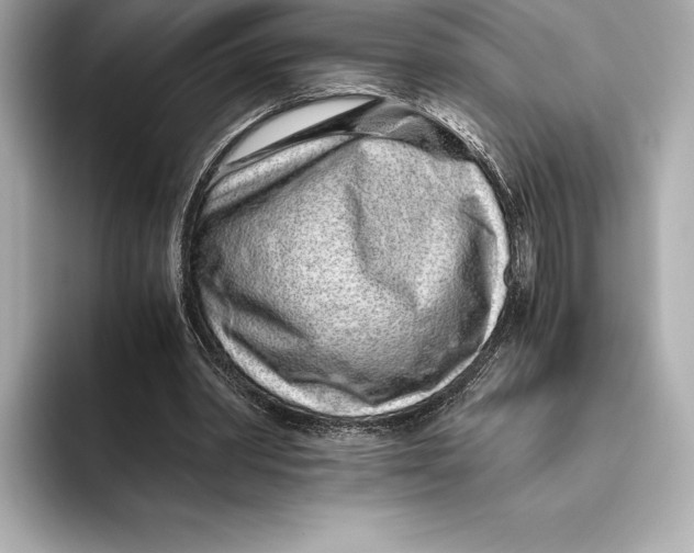 X0000093530390200711021314