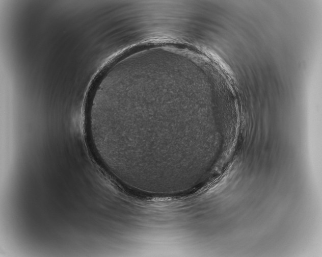 X0000093530391200711021314