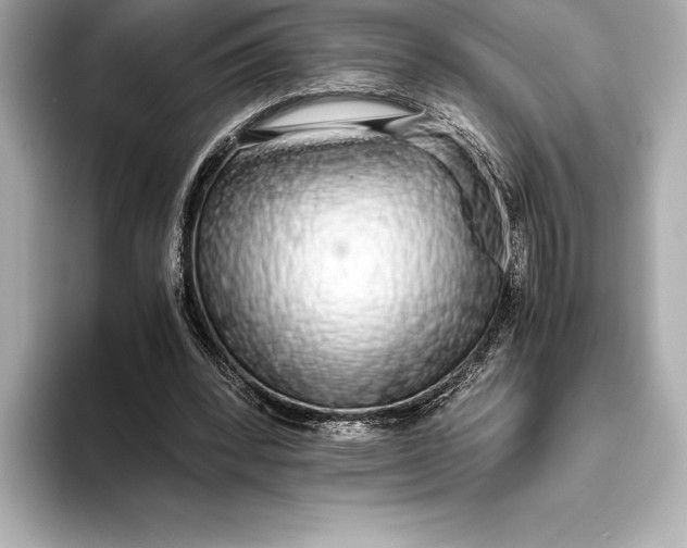 X0000093530392200711021314