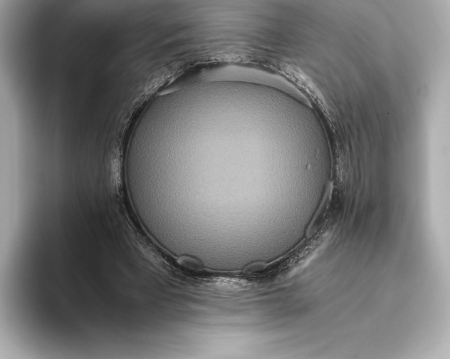 X0000093530393200711021314