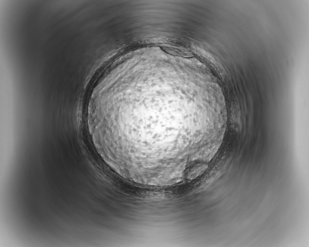 X0000093530394200711021314