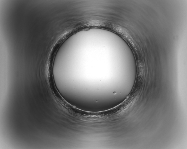 X0000093530395200711021314