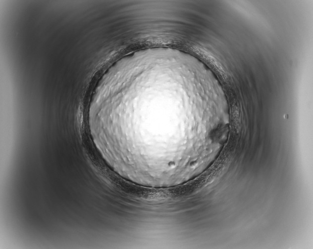 X0000093530398200711021314