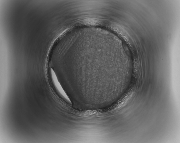 X0000093530399200711021314